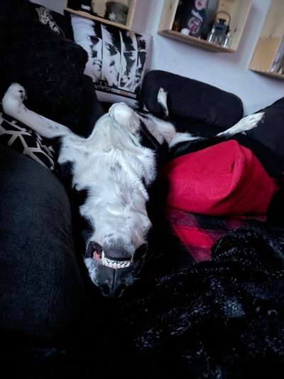 Fotochallenge Nr.65-Beitrag-Bild