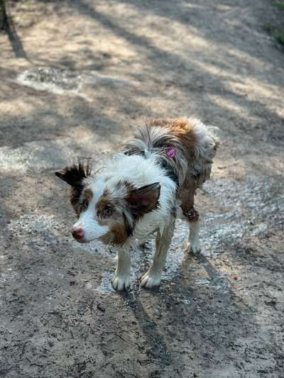 Foto Challenge Nr.133-Beitrag-Bild