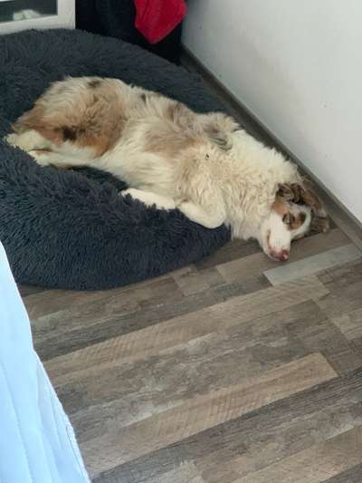 Foto Challenge Nr. 134-Beitrag-Bild