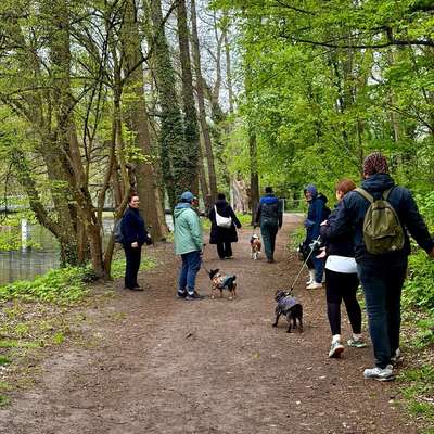 Hundetreffen-Dog Walk in Königs Wusterhausen S bahn-Bild