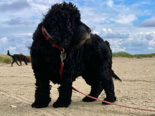 richtiger Zeitpunkt zum gehen lassen-Beitrag-Bild