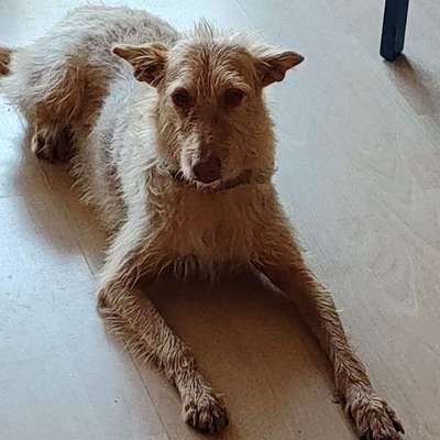 Suchmeldung-Milli-Bild