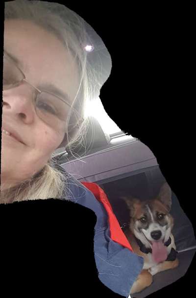 Challenge 33 - Du und dein Hund-Beitrag-Bild