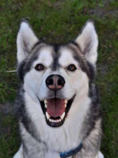 Lieblingsbild :D-Beitrag-Bild