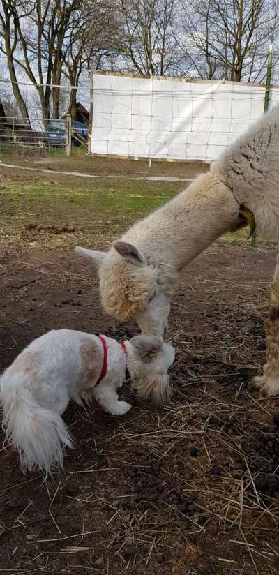 Lieblingsbild-Beitrag-Bild