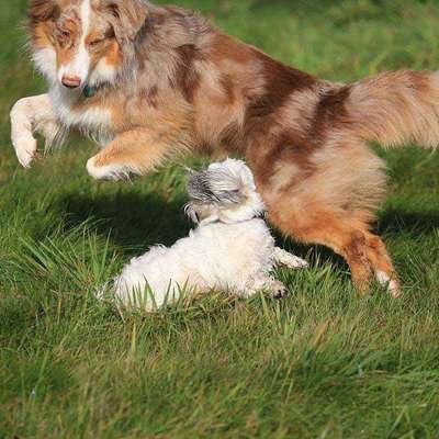 Lieblingsbild-Beitrag-Bild