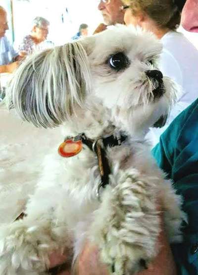 Lieblingsbild-Beitrag-Bild