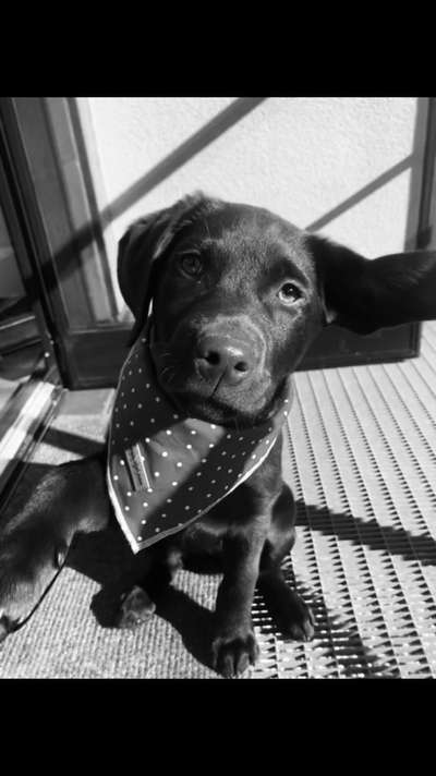 Foto-Challenge 76: Foto in Schwarz-Weiss-Beitrag-Bild