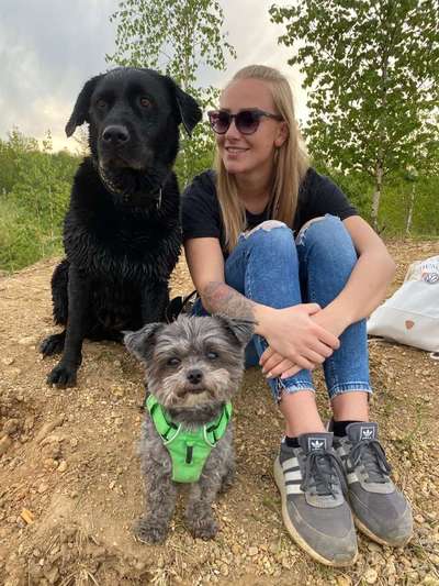 Zeigt mal die schönsten Bilder von euren Hunden !-Beitrag-Bild