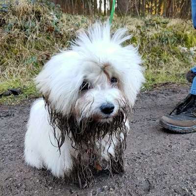 Zeigt mir doch mal eure Dreckspätze-Beitrag-Bild