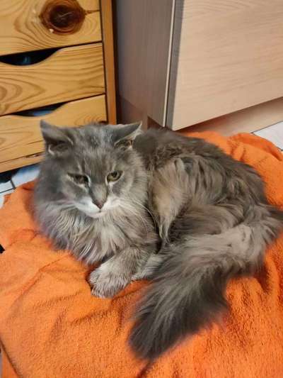 Unsere Sternchen ******-Beitrag-Bild