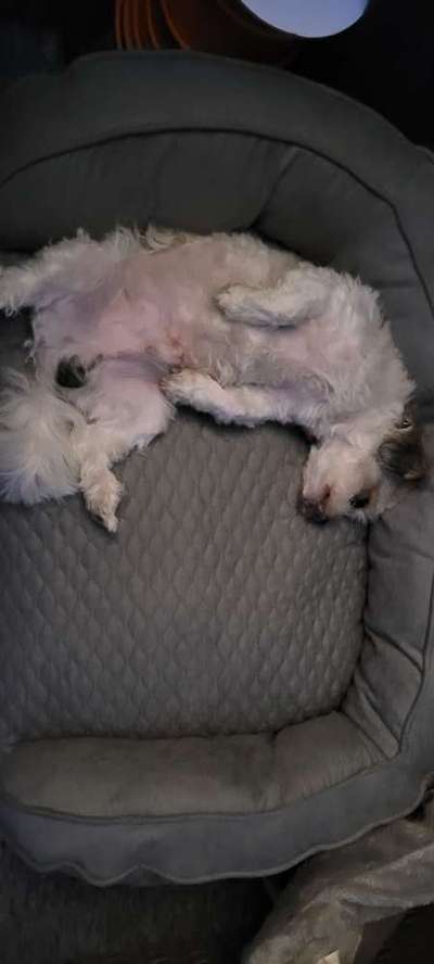 Foto Challenge Nr. 134-Beitrag-Bild