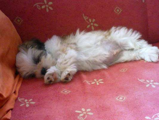 Erstes Bild-Beitrag-Bild