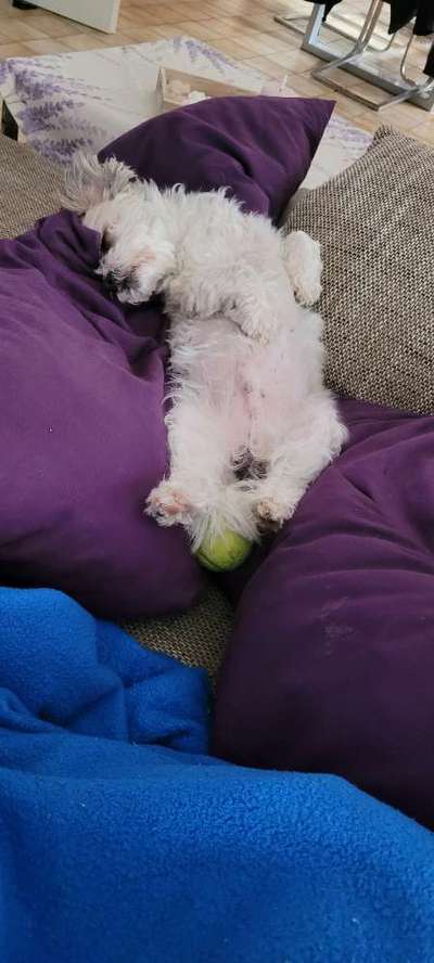 Foto Challenge Nr. 134-Beitrag-Bild