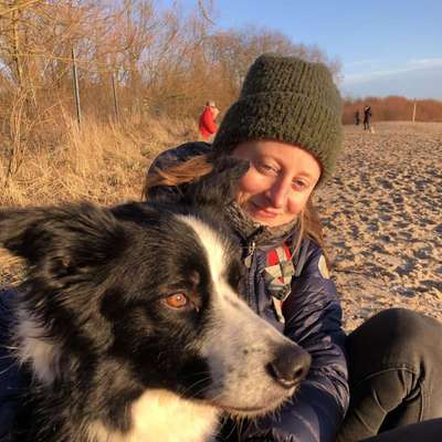 Hundetreffen-Fester Hundekumpel gesucht-Profilbild