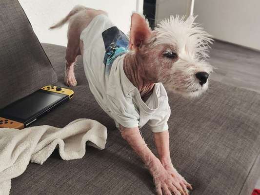 Wir möchten wissen,was mit Poohs Haut los ist?-Beitrag-Bild