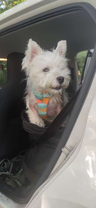 Wir möchten wissen,was mit Poohs Haut los ist?-Beitrag-Bild