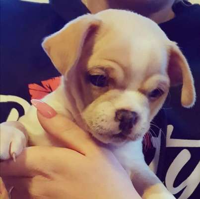 Sie werden so schnell erwachsen ...-Beitrag-Bild