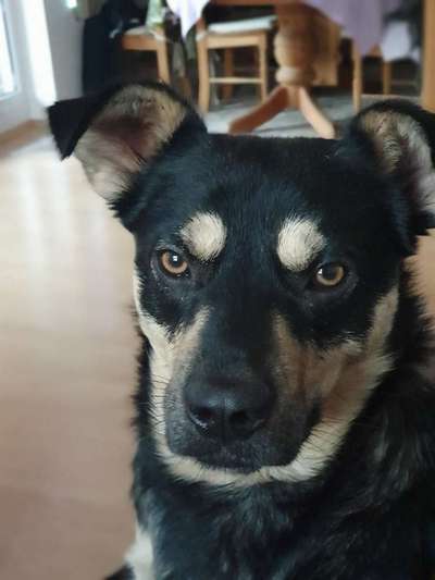 Lieblingsbild :D-Beitrag-Bild