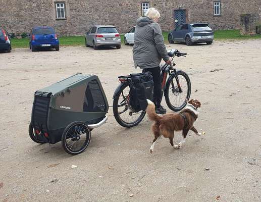 Hundetreffen-Fahrradtour mit Hund-Bild