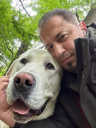 Zentralasiatischer Owtscharka-Beitrag-Bild