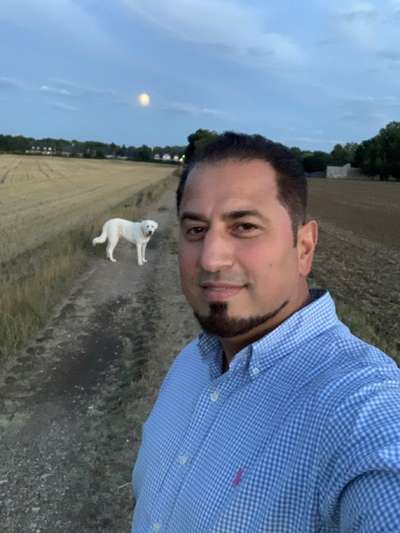 Reinrassige Hunde?-Beitrag-Bild