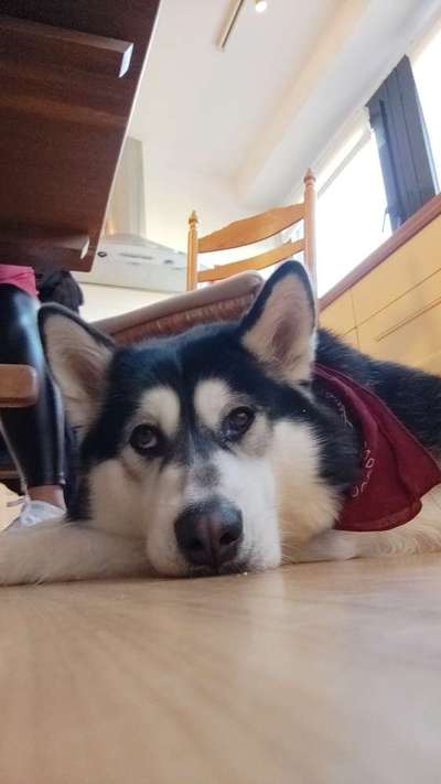 Zeigt her...-Beitrag-Bild