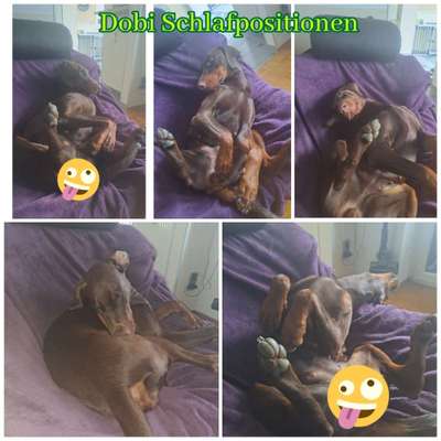 Verrückte Schlafpositionen-Beitrag-Bild