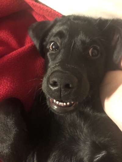 Lustige Grimassen & verrückte Posen-Beitrag-Bild