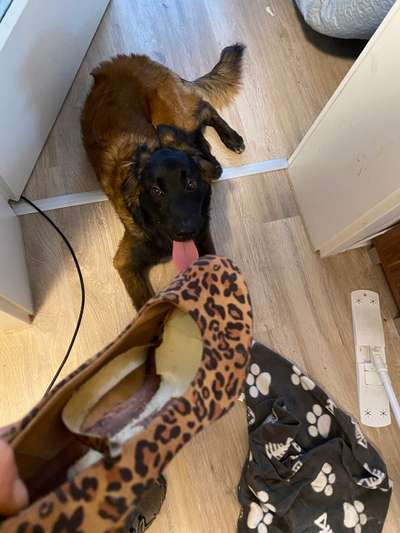 Fotochallenge 113: Auf frsicher Tat ertappt-Beitrag-Bild