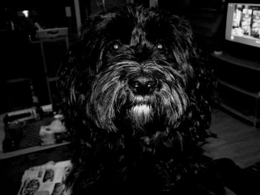 Foto-Challenge 76: Foto in Schwarz-Weiss-Beitrag-Bild