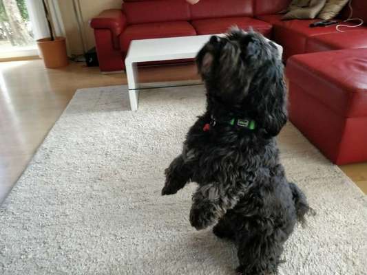 Doppelgänger gesucht !-Beitrag-Bild