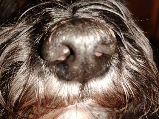 Ratespaß geht weiter-Beitrag-Bild