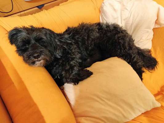 FOTO-Challenge  NR. 91: Die pure Entspannung-Beitrag-Bild