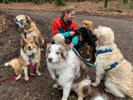 Giftköder-Outdoor Hundebetreuung-Bild