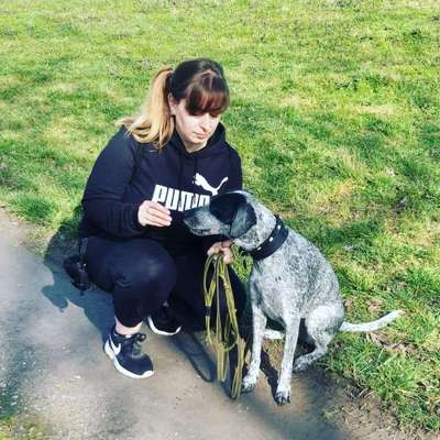 Hundetreffen-Gassirunden und Spielpartner gesucht-Profilbild