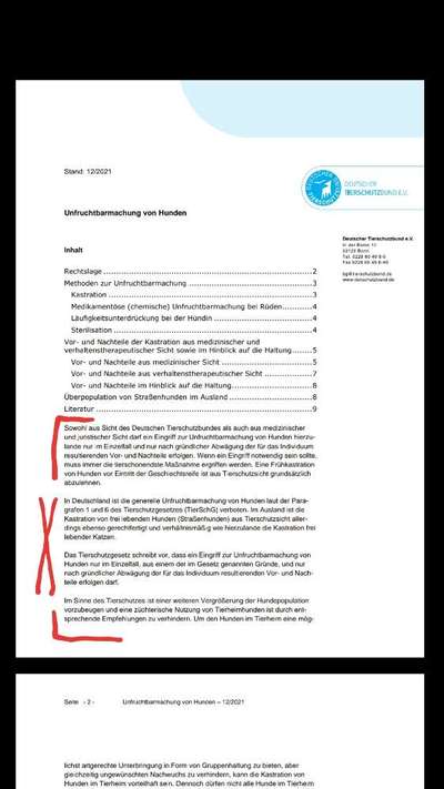 Kastration-Beitrag-Bild