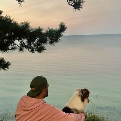 Hundetreffen-Gemeinsames Gassi-Gehen, Spielen