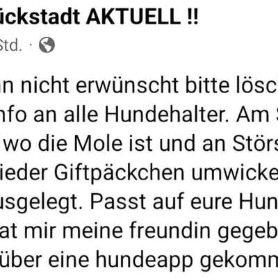 Giftköder-Es werden wieder Giftköder ausgelegt!-Bild