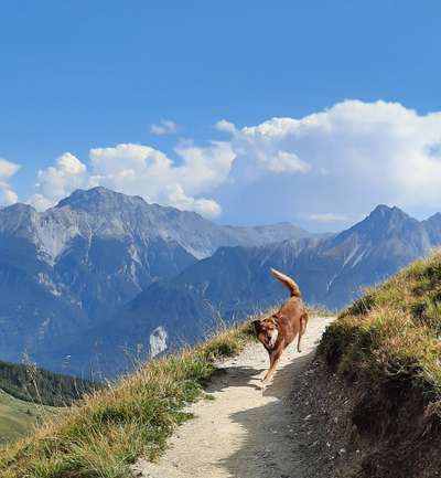 Fotochallenge Nr 107-Beitrag-Bild