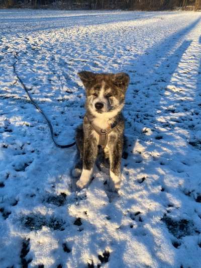 Fotochallenge Nr. 67: Euer Lieblingsbild-Beitrag-Bild