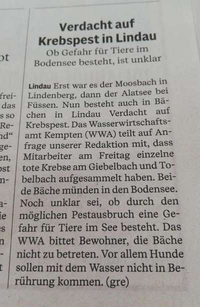 Giftköder-Krebspest-Bild