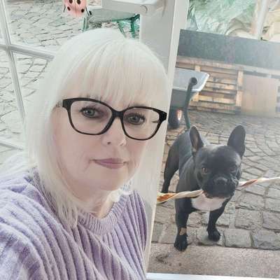 Hundetreffen-Soziale Kontakte