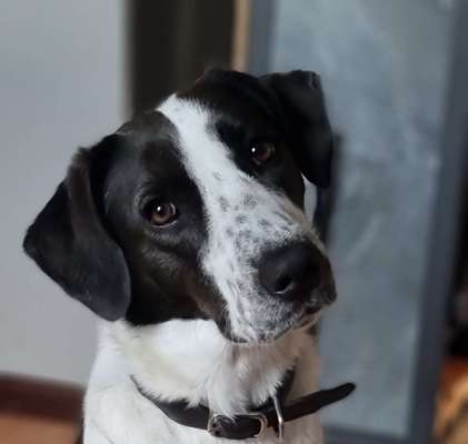 Fotochallange Nr. 57     PORTRÄT.   Beendet!!!!!!!!-Beitrag-Bild