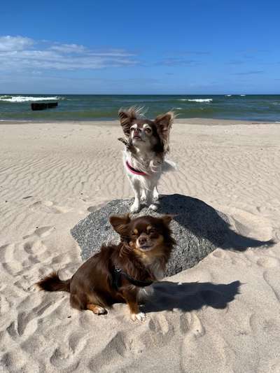 Eure Strandbilder :)-Beitrag-Bild