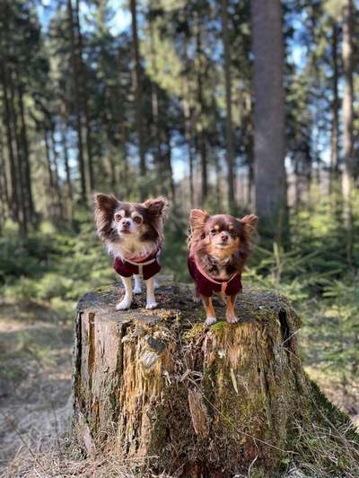 Foto Challenge Nr. 79-Beitrag-Bild