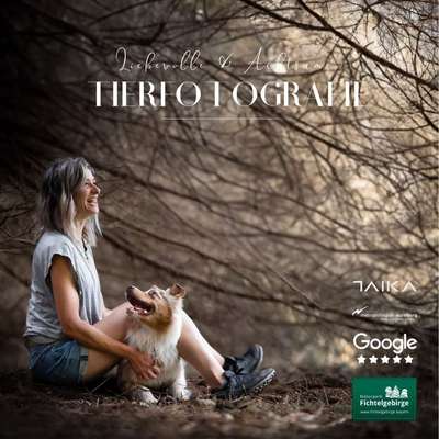 Tierfotografen-Taika-Fotografie-Bild