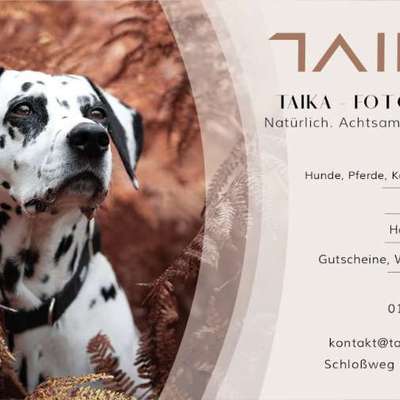 %{de_profession_title}-Tierfotografie-Bild