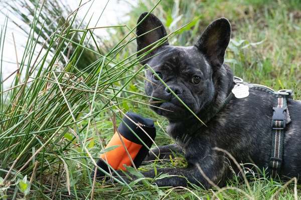 Zeige deinen Schatz mit seinem Lieblingsspielzeug.-Beitrag-Bild