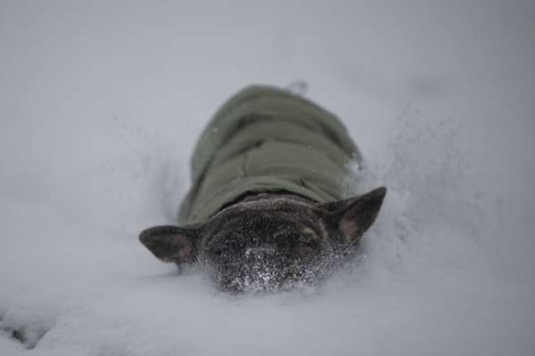 Der erste Schnee, zeigt uns eure tollen Schneemomente-Beitrag-Bild